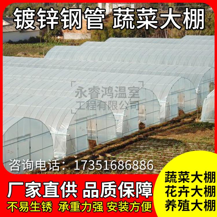 赣州大棚钢管厂家直销热镀锌骨架连栋温室大棚草莓大棚蔬菜大棚 养殖大棚 畜牧业大棚 西瓜大棚 草莓大棚支持定制