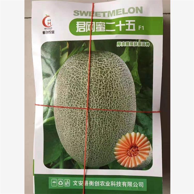 新品种金阳光哈密瓜种子   金阳光哈密瓜种子田骏种业批发