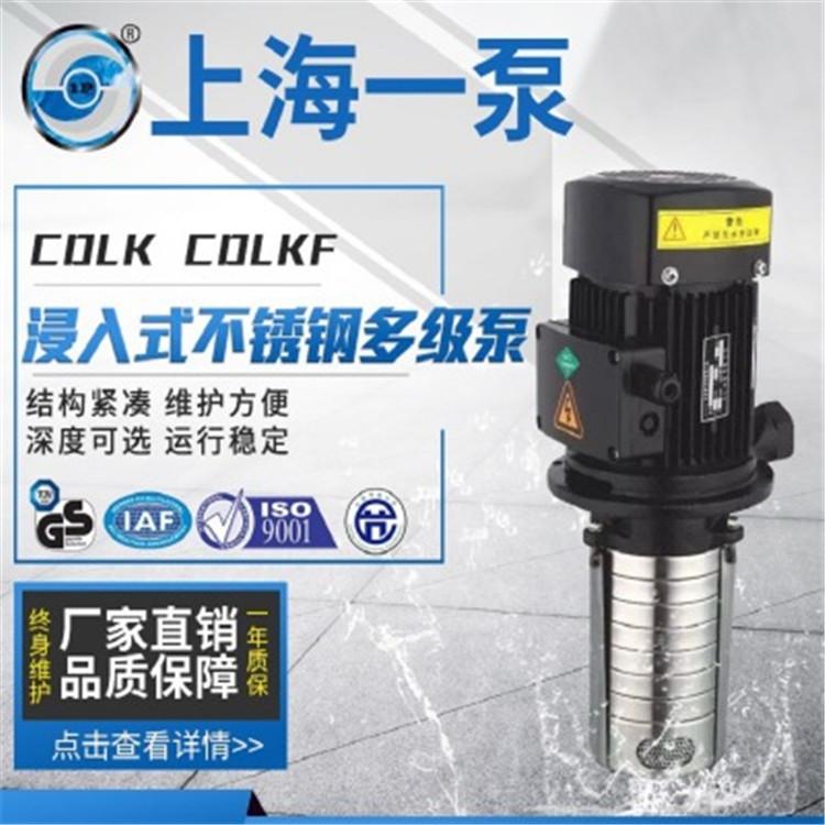 多级泵 CDLK-CDLKF浸入式不锈钢多级泵 立式管道多级泵