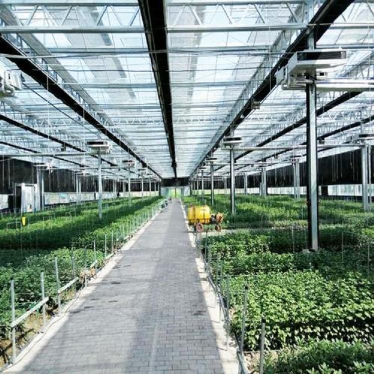 蔬菜智能玻璃温室造价合理 阳凯温室 智能玻璃温室工程