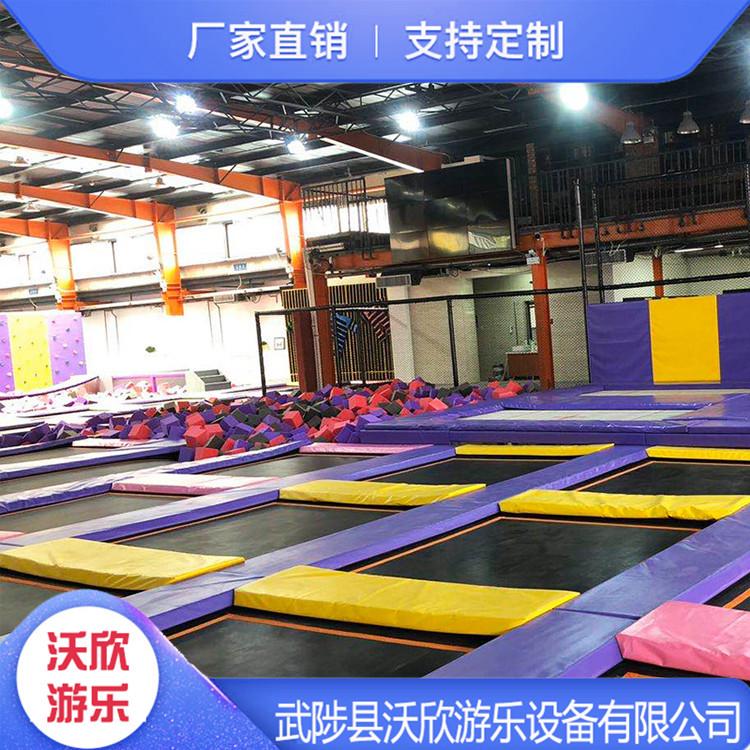 蹦蹦床主题乐园定制 室内大型蹦床乐园 款式多样 来图定制