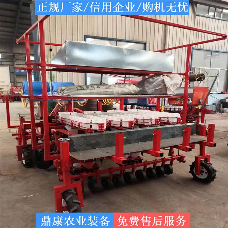 欢迎选购 药材移栽机 苍术移栽机