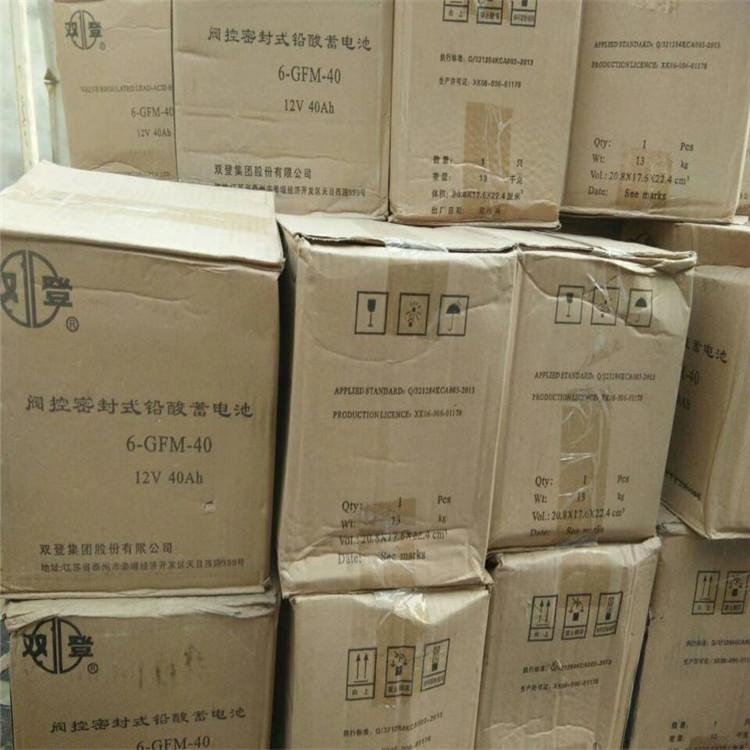 双登蓄电池6-GFM-200 双登蓄电池12V200AH  UPS 直流屏电源 阀控式免维护蓄电池