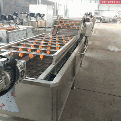 自动喷淋式水果气泡清洗机  不锈钢玉米气泡清洗机价格  供应净菜加工流水线