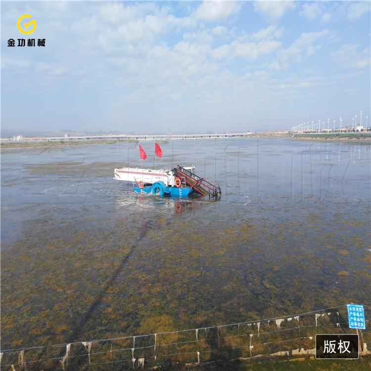 水草收割船  小型水葫芦打捞船