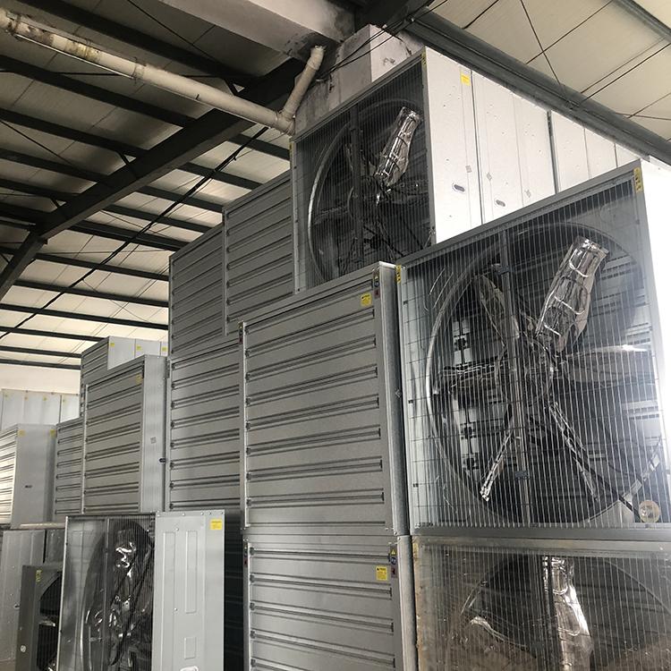 养殖用风机 保质保量 温室风机工厂出售