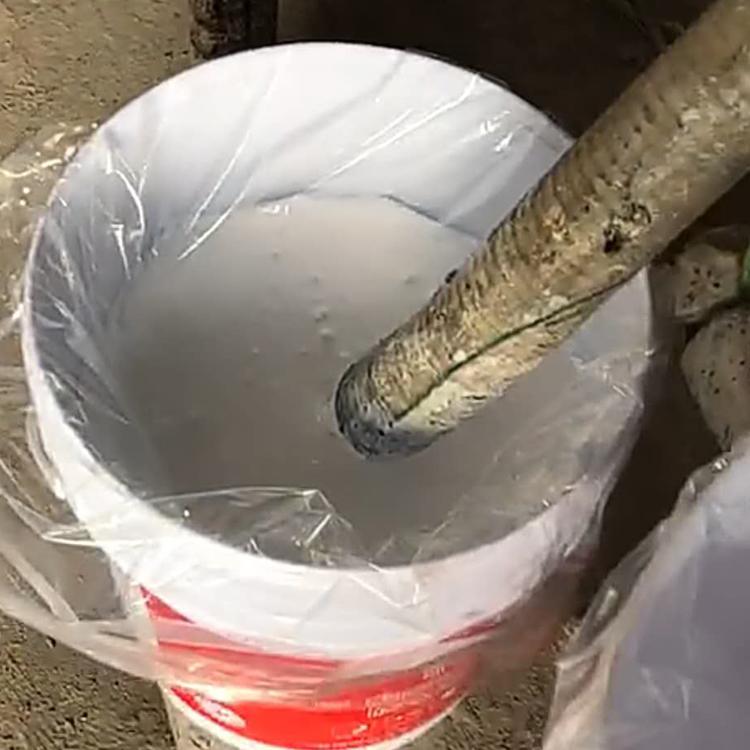 JS聚合物水泥 2型 防水涂料