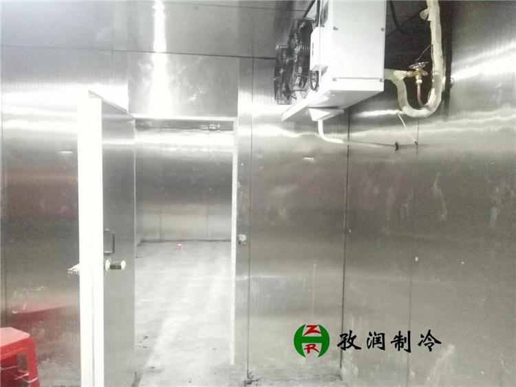 安徽医药冷库-冷库控制系统-冷冻库设备厂家