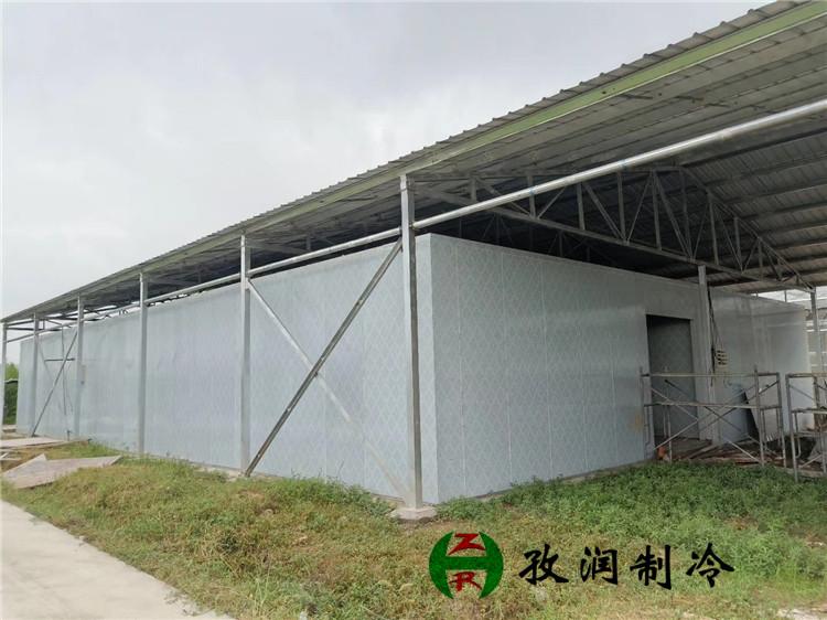 安徽合肥包河装冷库冷藏冷库造价