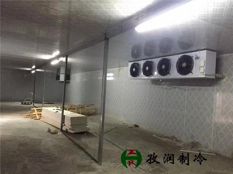 蔬菜保鲜库-肉联厂冷库-冻鱼冷库厂家