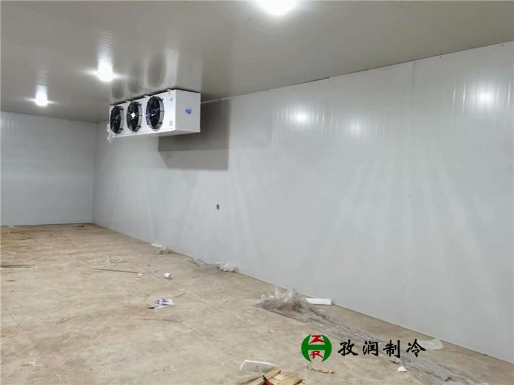 医药冷库工程-组合式冷库-肉类冷库厂家