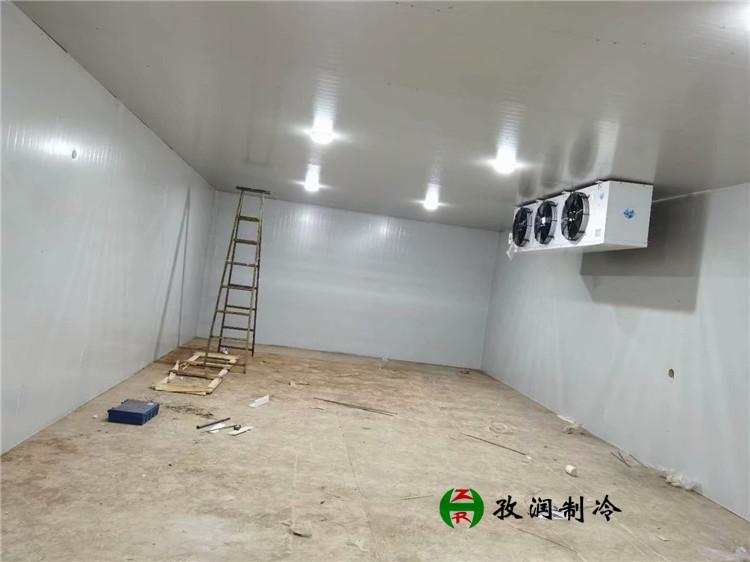 医疗器械冷库-制冷机组-底温库设备厂家