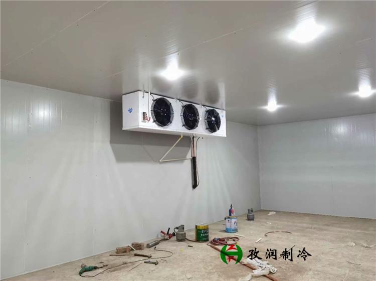 医疗器械冷库-肉联厂冷库-建造冷冻库厂家