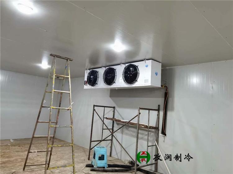 蔬果冷藏库-肉联厂冷库-江苏冷库