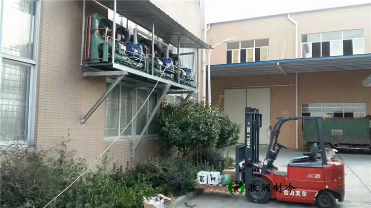 洋葱速冻冷冻冷库-