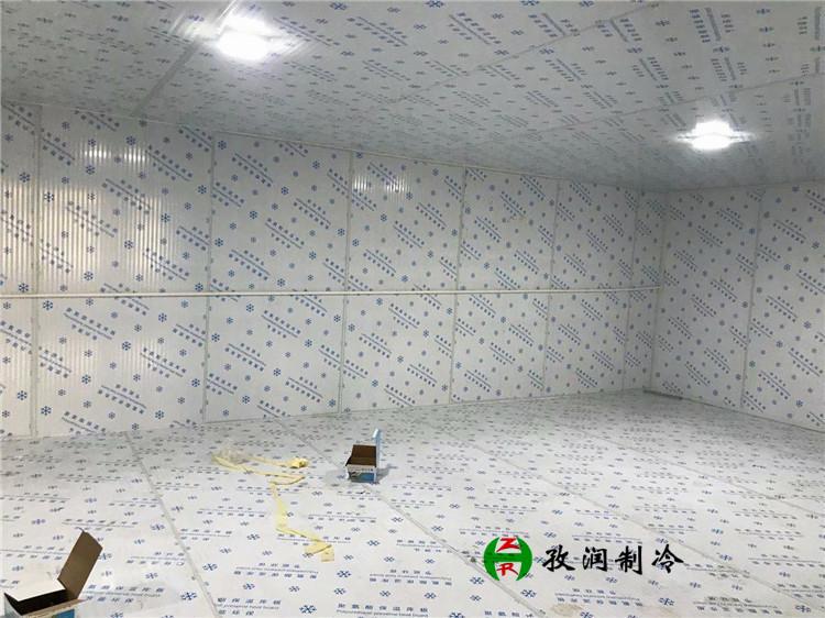 蔬菜保鲜库-销售冷库小型冷库多少钱