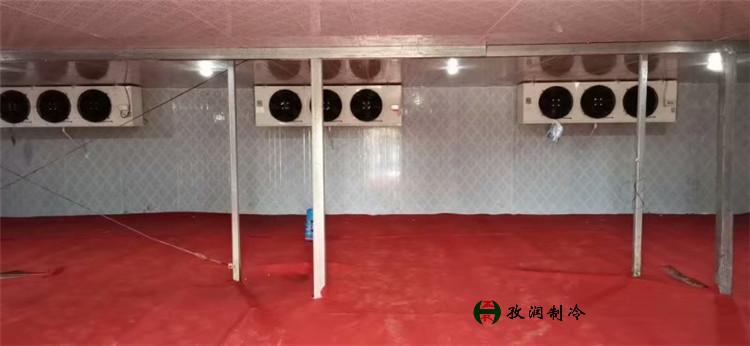 蔬菜水果冷库-铝排冷库-冷冻库安装厂家