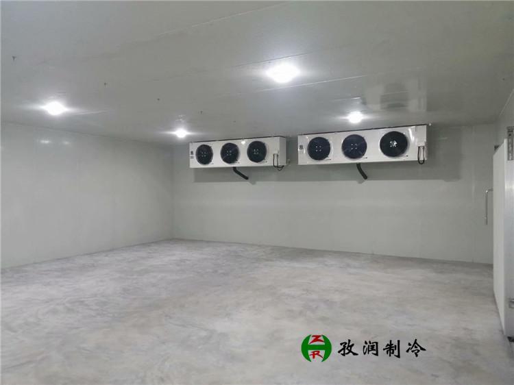 蔬果冷藏库-肉联厂冷库-安徽安装冷库