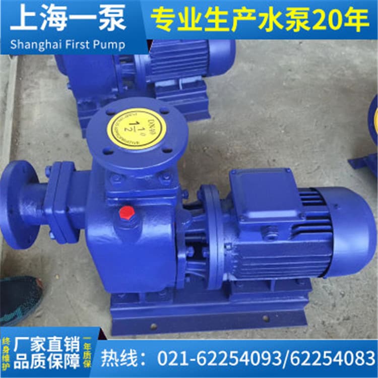 自吸泵 上海一泵 ZW无堵塞自吸排污泵 陆上排污泵