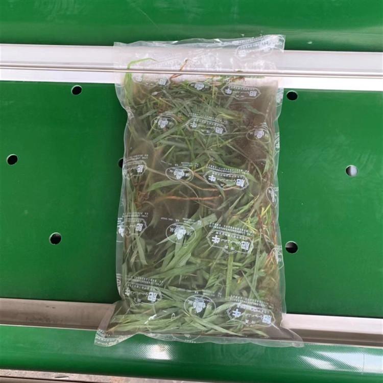 食品连续式真空包装机 连续式真空包装机制造商  工厂定制