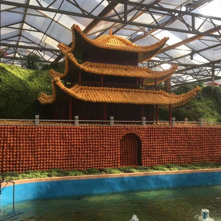 定制温室大棚建设中-玻璃温室-阳光板温室