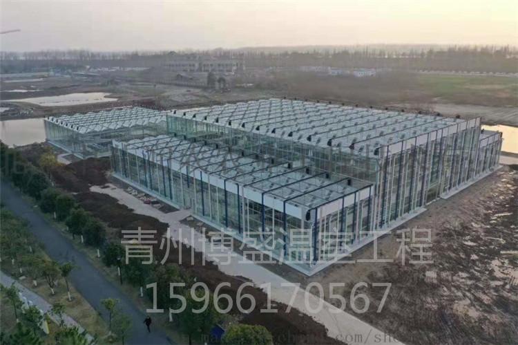 安装玻璃温室建造 定制玻璃温室施工 玻璃温室   博盛温室