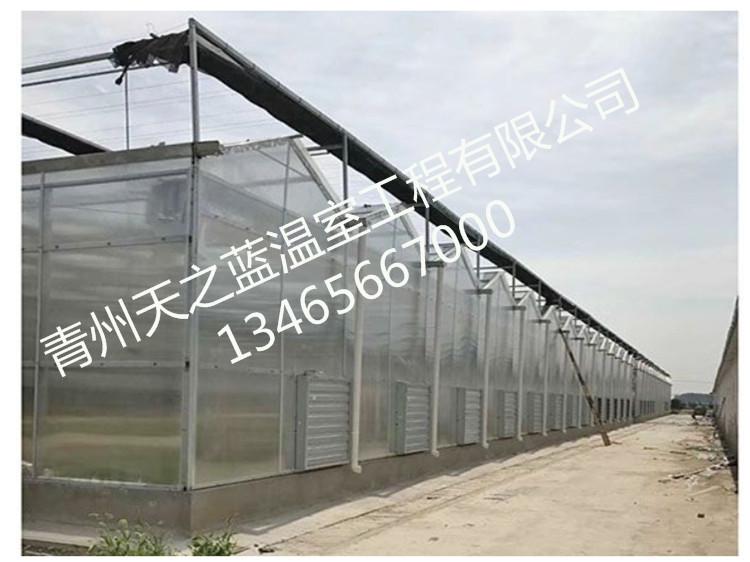 阳光板温室大棚搭建 阳光板温室大棚施工 pc阳光板温室 天之蓝温室