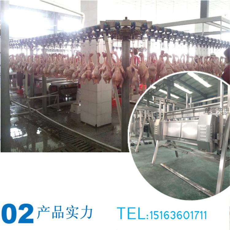 巢湖 肉鸡屠宰流水线--公鸡宰杀生产线--整套杀鸡线机器