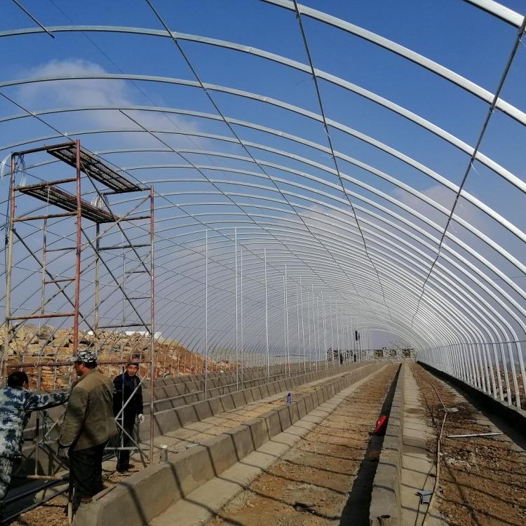 养殖大棚建设 朗德鹅养殖大棚设计建设高质量