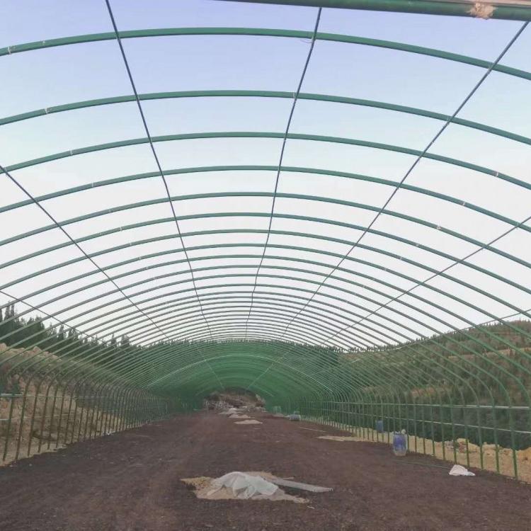 永金牌养殖大棚设计 养猪养殖大棚 上门施工质量可靠