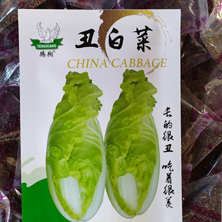 丑白菜特色蔬菜种子 口感蔬菜种子 新奇蔬菜籽叶菜种子新品种银丝白金丝白王 回味白菜籽 娃娃菜基地大面积播中