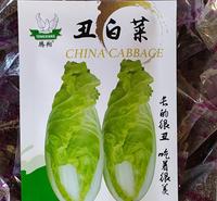 丑白菜特色蔬菜种子 口感蔬菜种子 新奇蔬菜籽叶菜种子新品种银丝白金丝白王 回味白菜籽 娃娃菜基地大面积播中