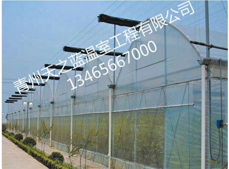 连栋薄膜温室大棚 薄膜连栋温室大棚工程 连栋薄膜温室报价 天之蓝温室