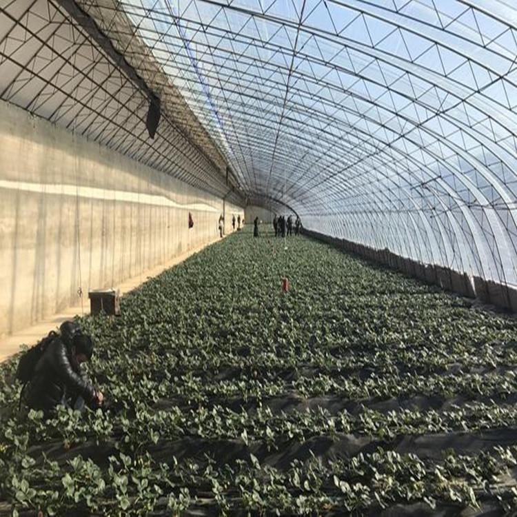 连栋薄膜温室报价 农业蔬菜种植大棚 日光温室 推荐鋆成兴达