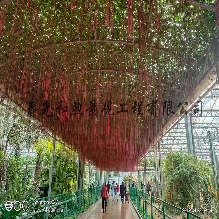 无土栽培模式水培无土栽培设施 批发无土栽培
