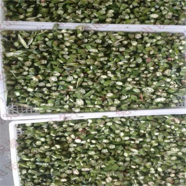 黄秋葵花茶烘干机 空气能热泵蕨菜烘干箱 热风循环梅菜烘干房