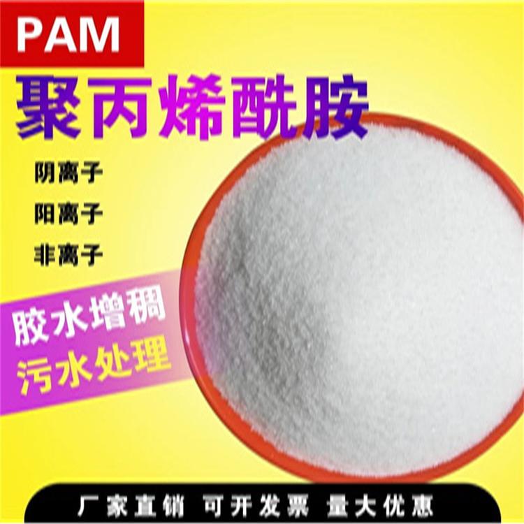水处理药剂 聚丙烯酰胺 阴离子 PAM 絮凝剂