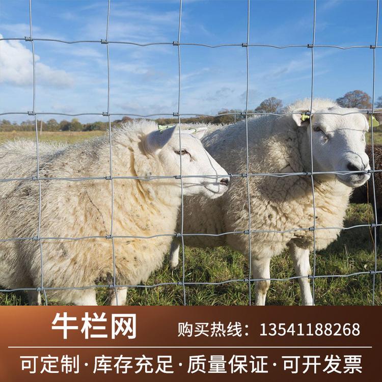 牛栏网 厂家直销安全牧场铁丝钢丝网 畜牧养殖不锈钢牛栏网