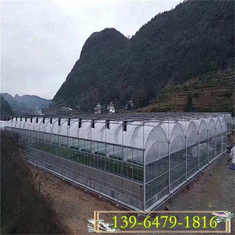 农业连栋薄膜温室大鹏 北方玻璃智能温室大棚配件