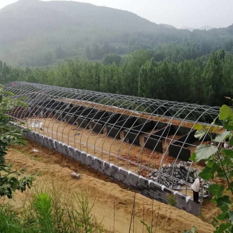 值得信赖的智能温室大棚建设  蛋鸡肉鸭仔猪生猪温室大棚