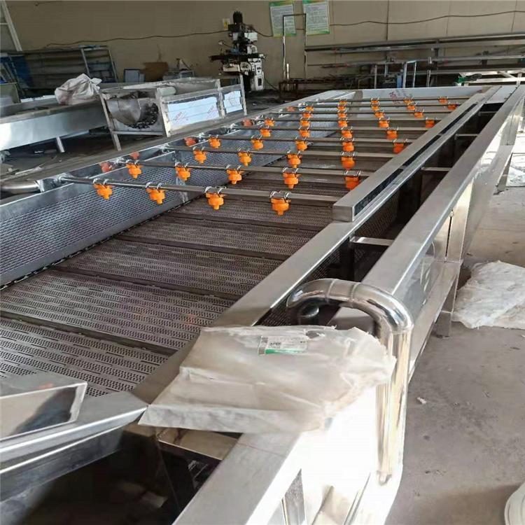 厂家供应全自动果蔬清洗设备  出售气泡水浴清洗机 支持定做