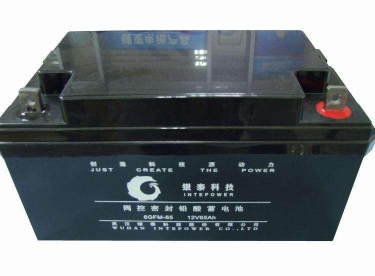 银泰蓄电池6GFM-24 免维护阀控式铅酸蓄电池12V24AH UPS铅酸蓄电池