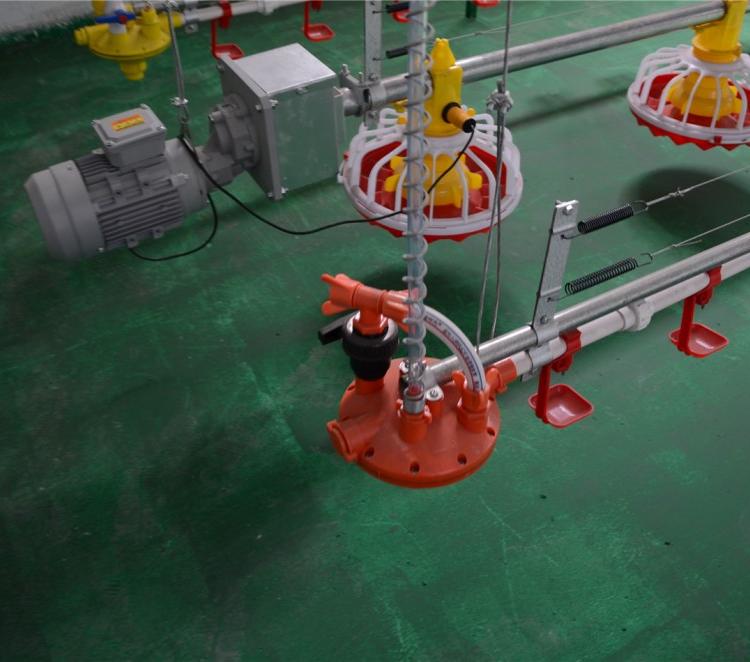 供应养殖场水线 全自动化水线 养鸡自动化水线
