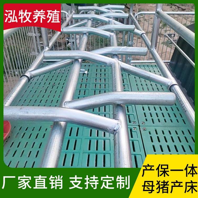 泓牧养殖 产保一体母猪产床 双体分娩床仔猪用保育复合板产保一体两用养猪场养殖设备母猪产床