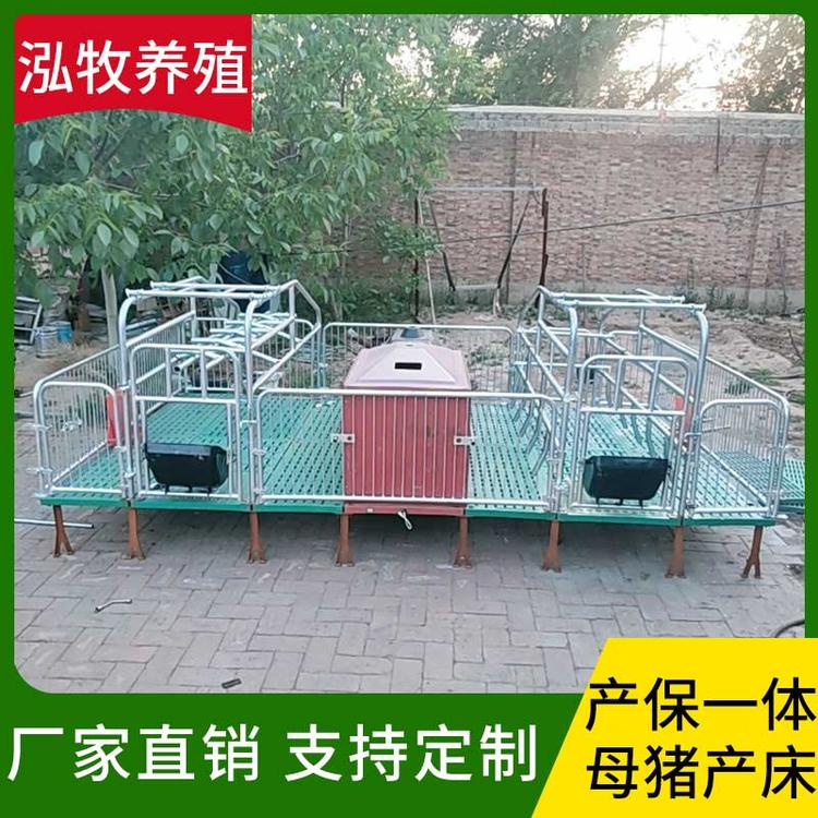 泓牧养殖 产保一体母猪产床 双体分娩床仔猪用保育复合板产保一体两用养猪场养殖设备 母猪产床 连体母猪产床
