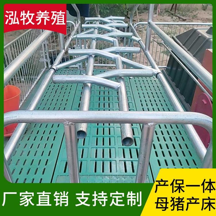 泓牧养殖 产保一体母猪产床 欧式母猪产床 双体分娩床 仔猪用保育复合板产保一体两用养猪场养殖设备 母猪产床 连体母猪产床