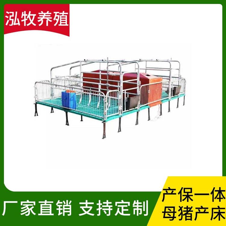 泓牧养殖 产保一体母猪产床 欧式母猪产床 双体分娩床 仔猪用保育复合板产保一体两用养猪场养殖设备 母猪产床 连体母猪产床 复合母猪产床