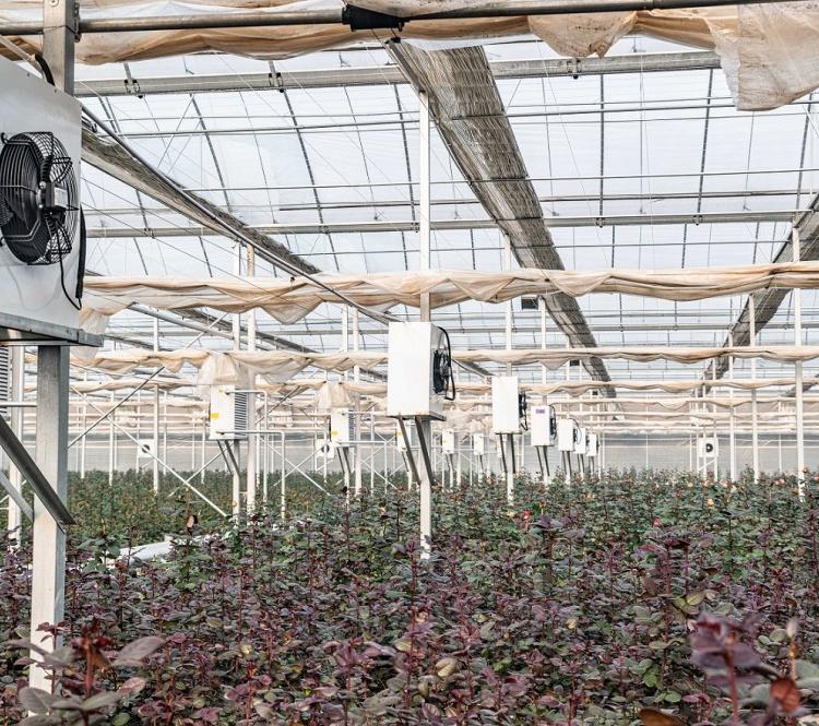 生产环保加温热水锅炉 山东爱信科技全新产品 燃油燃煤燃气多用途锅炉
