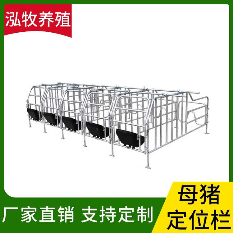 泓牧养殖 母猪定位栏 母猪限位栏猪用定位栏限位栏 猪场养猪带食槽养猪设备母猪定位栏