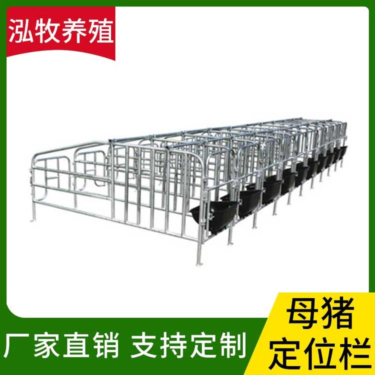 泓牧养殖 母猪定位栏 母猪限位栏 猪用定位栏 限位栏 猪场养猪带食槽 养猪设备 母猪定位栏 母猪产床定位栏
